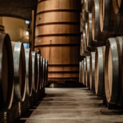 Rangées de fûts de chêne dans une cave d’élevage du vin